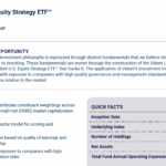 VUSE Q2 2025 factsheet